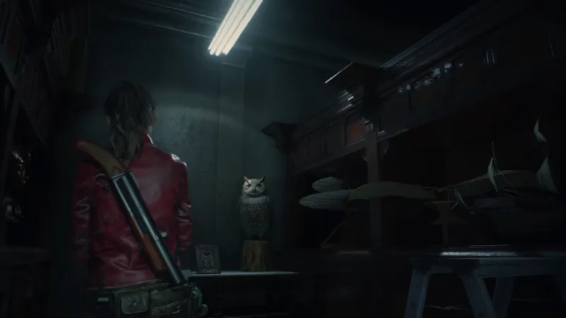 Raccoon City Blues