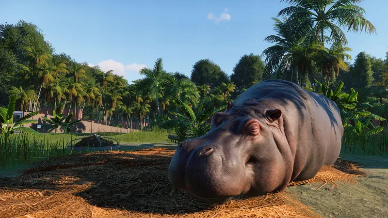 Answering E3’s Biggest Questions