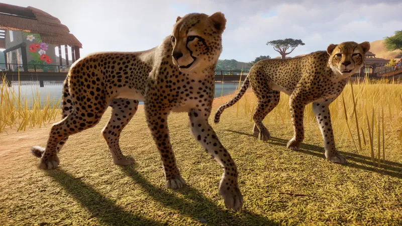 Building Your Zoo The Way You Want It