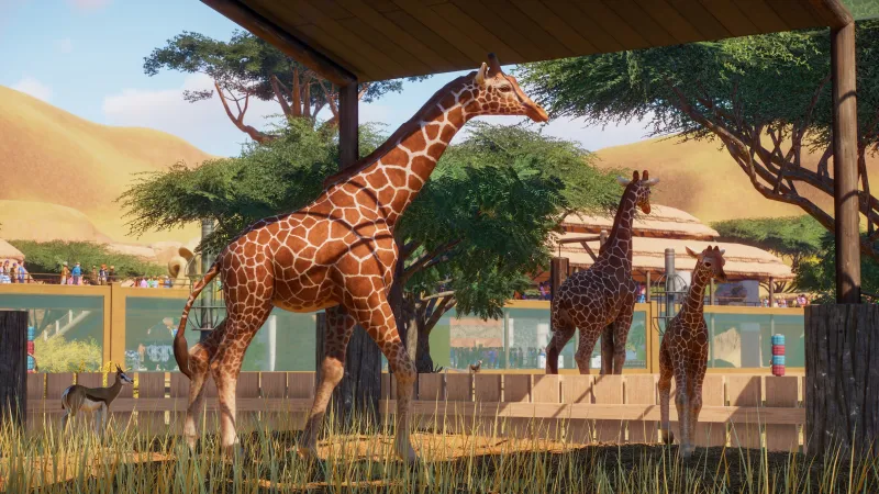 Building Your Zoo The Way You Want It