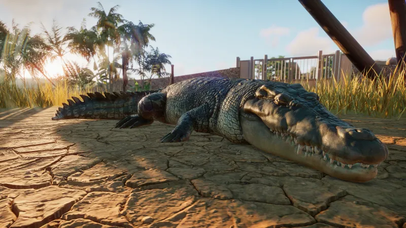 Building Your Zoo The Way You Want It