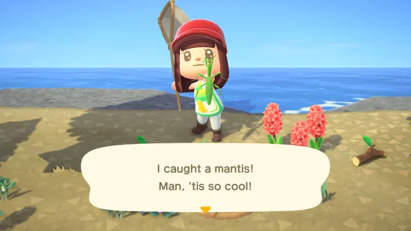 How To Make Money In Animal Crossing: New Horizons