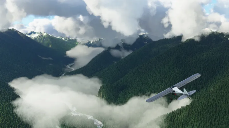 Microsoft Flight Simulator
