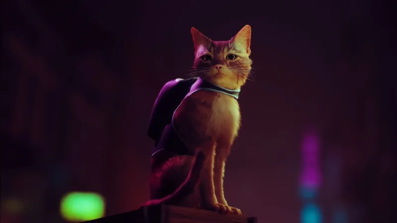 Rounding Up Everything In Today’s Annapurna Interactive Showcase