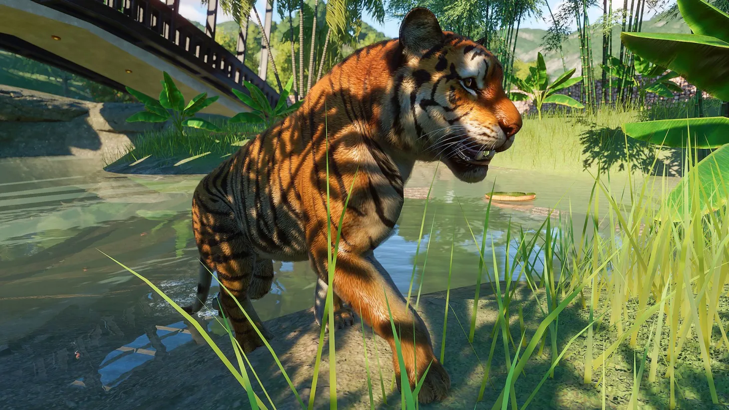 Planet Zoo Review – Wearing Down Barriers