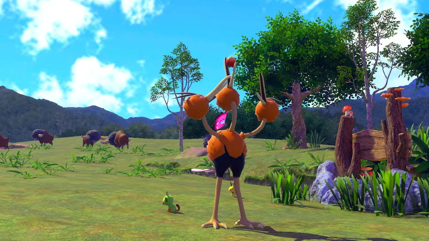 We're Getting Pokémon News Today! Here's What To Expect