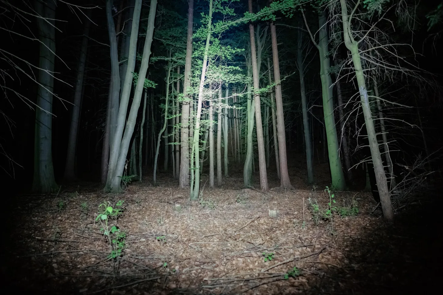 Abandoned Developer Shuts Down Silent Hill Rumors In New Video, Q&A Coming Soon