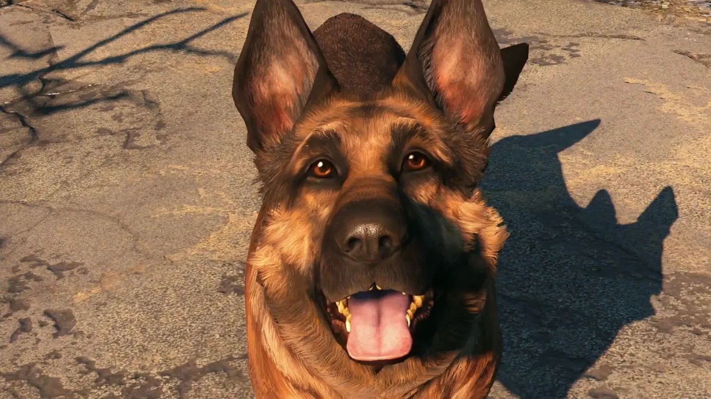 Honoring The Inspiration Behind Fallout 4's Dogmeat, Xbox And Bethesda Raise Money For Humane Society