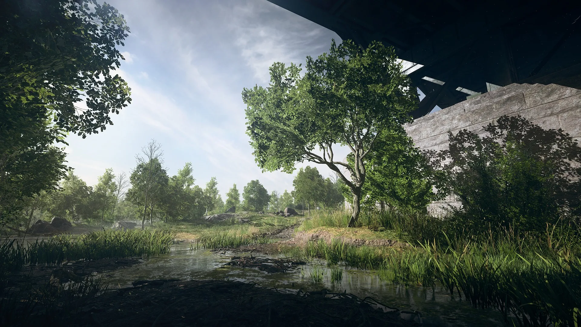 Battlefield V Review – Hedge Warfare