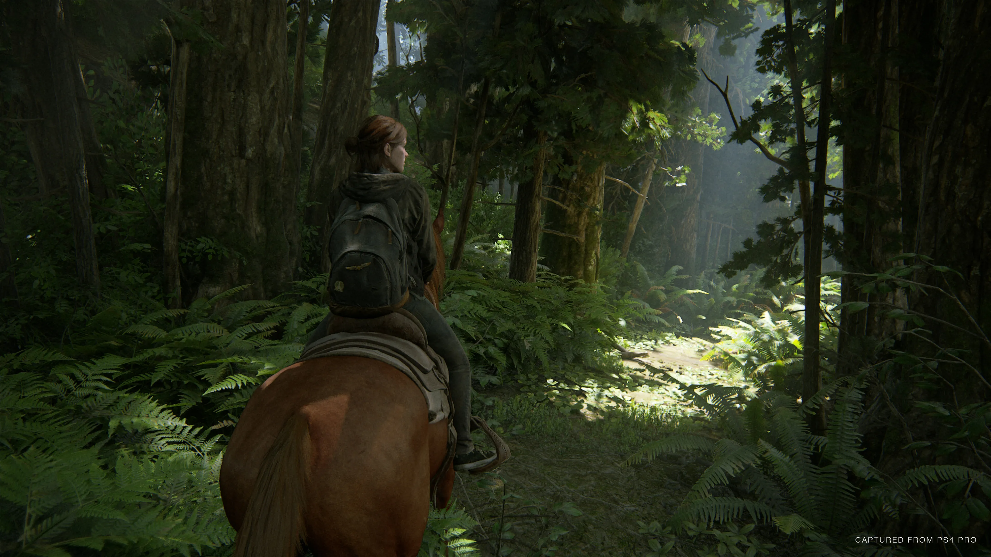 A Spoiler-Free Overview Of The Last Of Us Part II