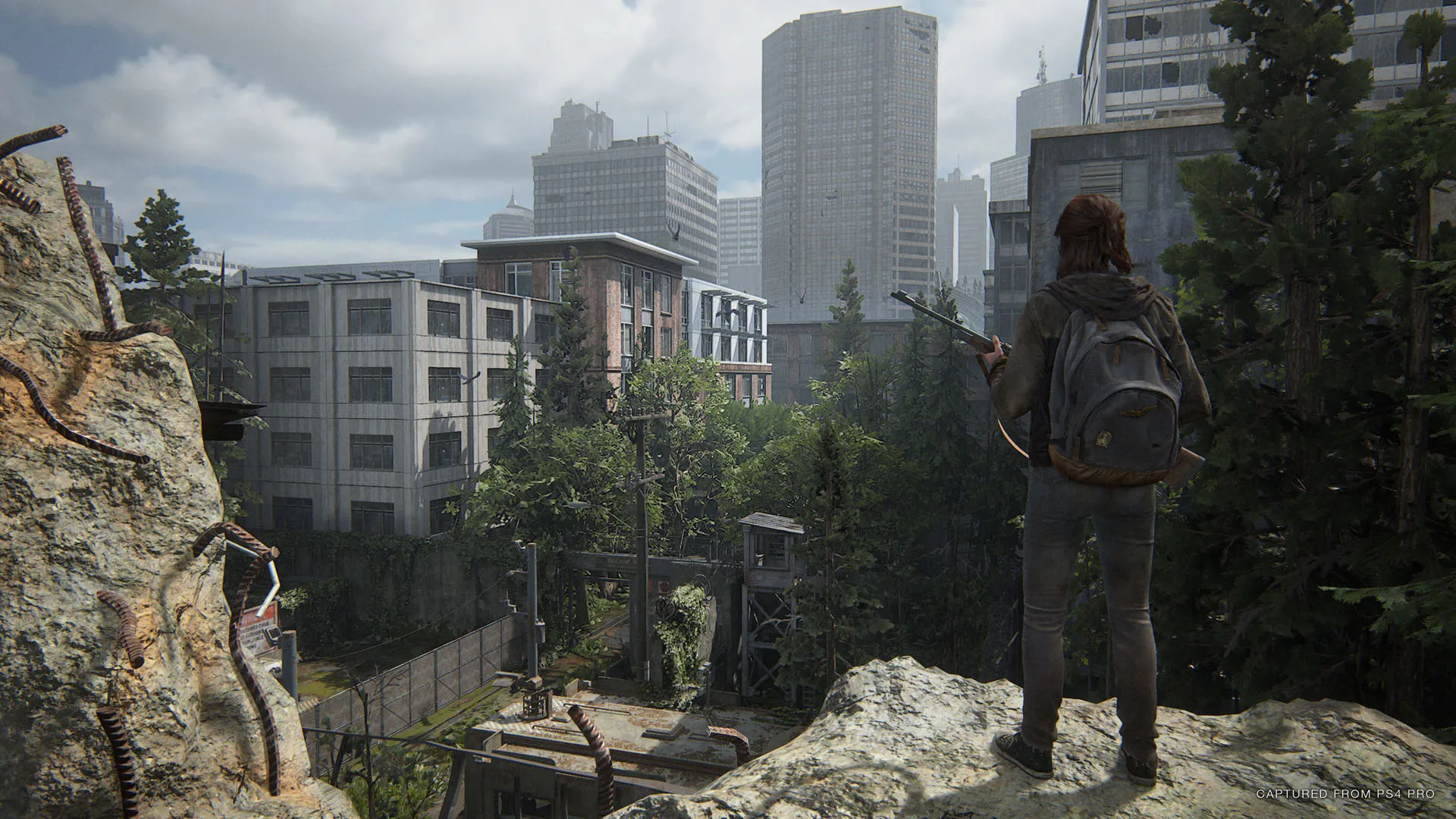 The Last Of Us Part II Review – A Perfect Circle 