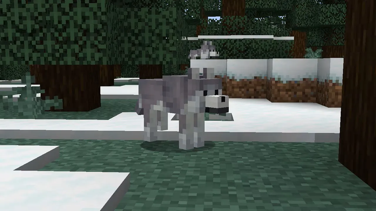 The Latest Minecraft Update Adds Wolf Armor, Wolf Breeds, And Armadillos