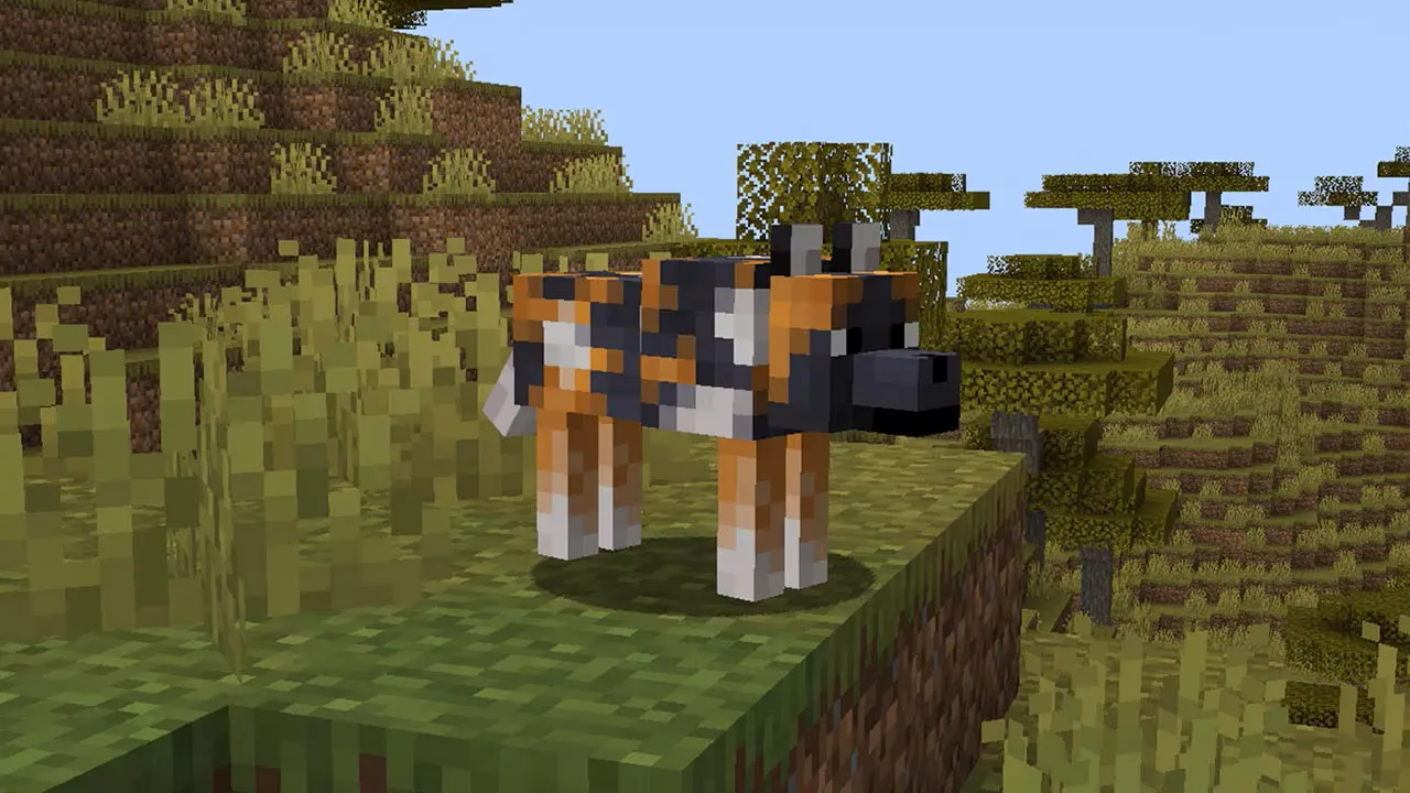 The Latest Minecraft Update Adds Wolf Armor, Wolf Breeds, And Armadillos
