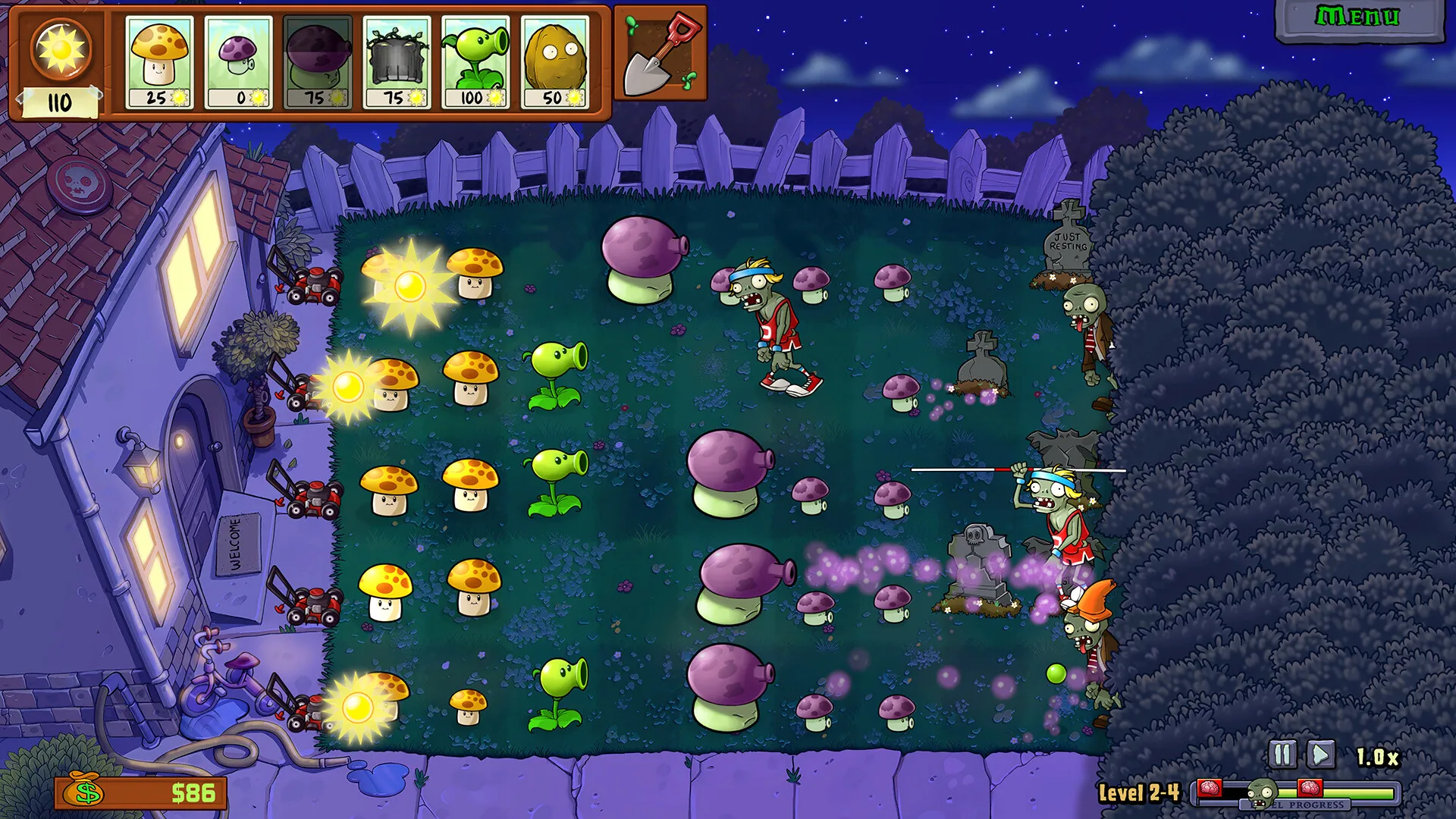 A Nostalgic Garden Stroll