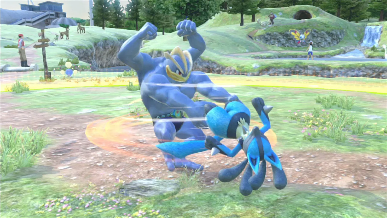The Passable Pokémon Fighter