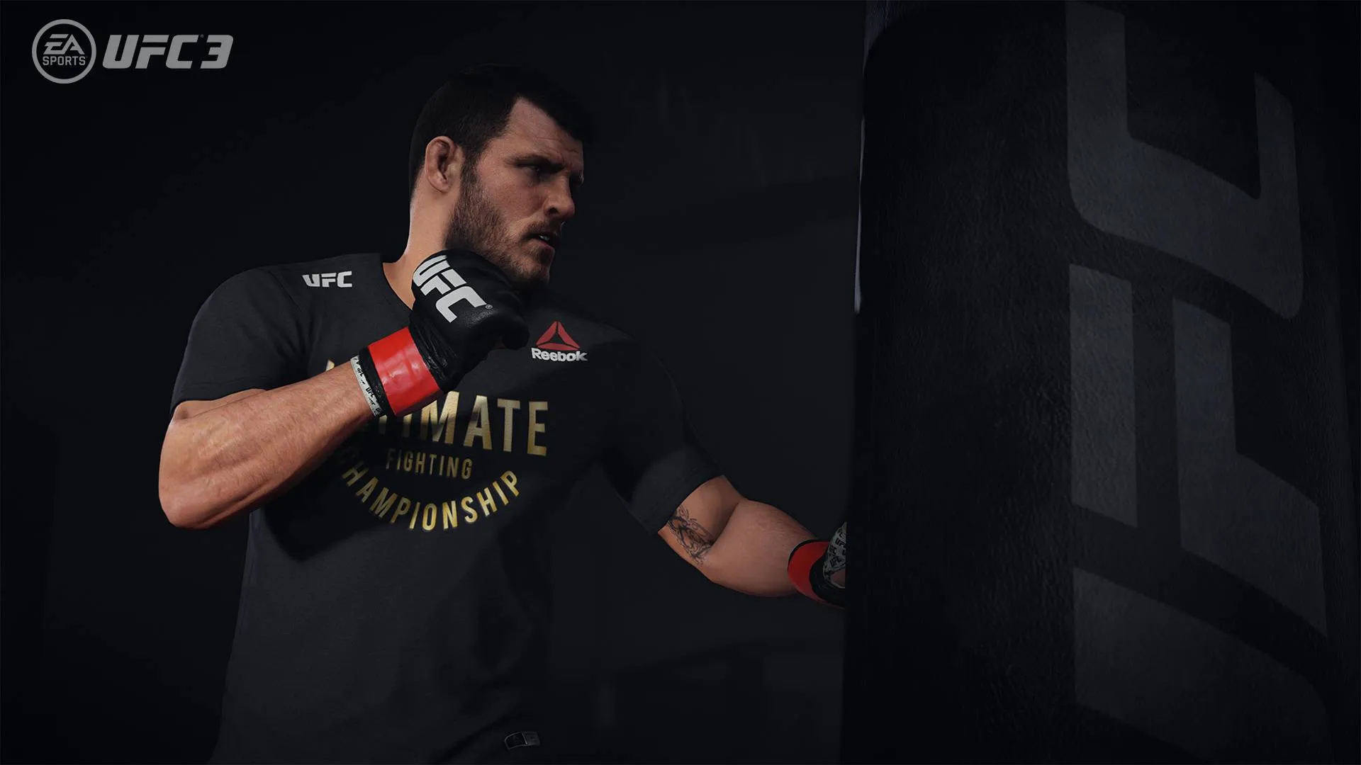 From Contender To Champion