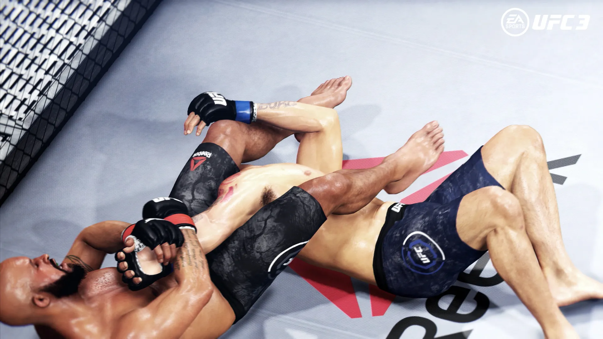 From Contender To Champion
