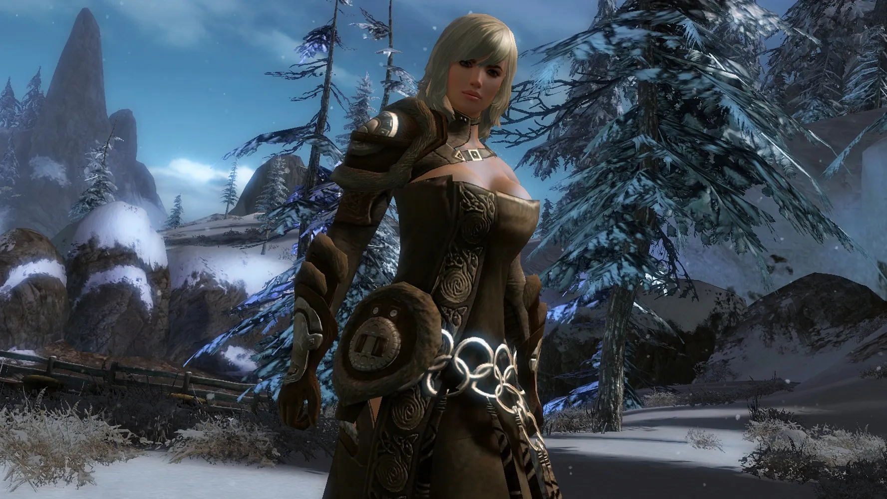 ArenaNet Drops New Norn And Thief Details