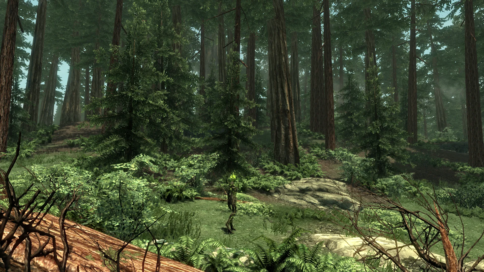 Beyond Skyrim Team Updates On Progress, Will Release First Content In 2015
