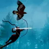 Impulse