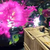 Splatoon 2