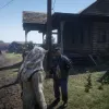 Red Dead Redemption II