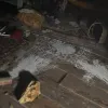Resident Evil Village