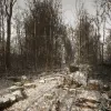 Abandoned 