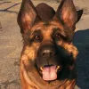 Fallout 4