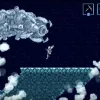 Axiom Verge 2