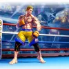  Street Fighter V: Champion Edition