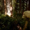 Sons of the Forest