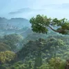 Ubisoft Appoints Assassin's Creed Leadership Team Made Of Series Veterans