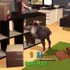 Goat Simulator