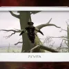 Assassin's Creed III Liberation