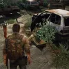 The Last of Us