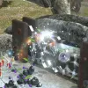 Pikmin 3