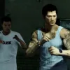 Sleeping Dogs