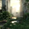 The Last of Us