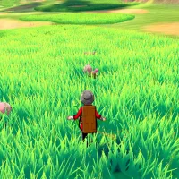 How To Master The Wild Area In Pokémon Sword & Shield