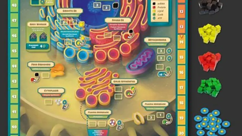 Top Of The Table – Stellar Board Games That Actually Teach