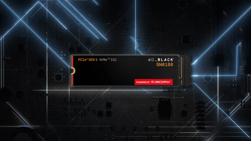 Holiday Gifts from Sandisk